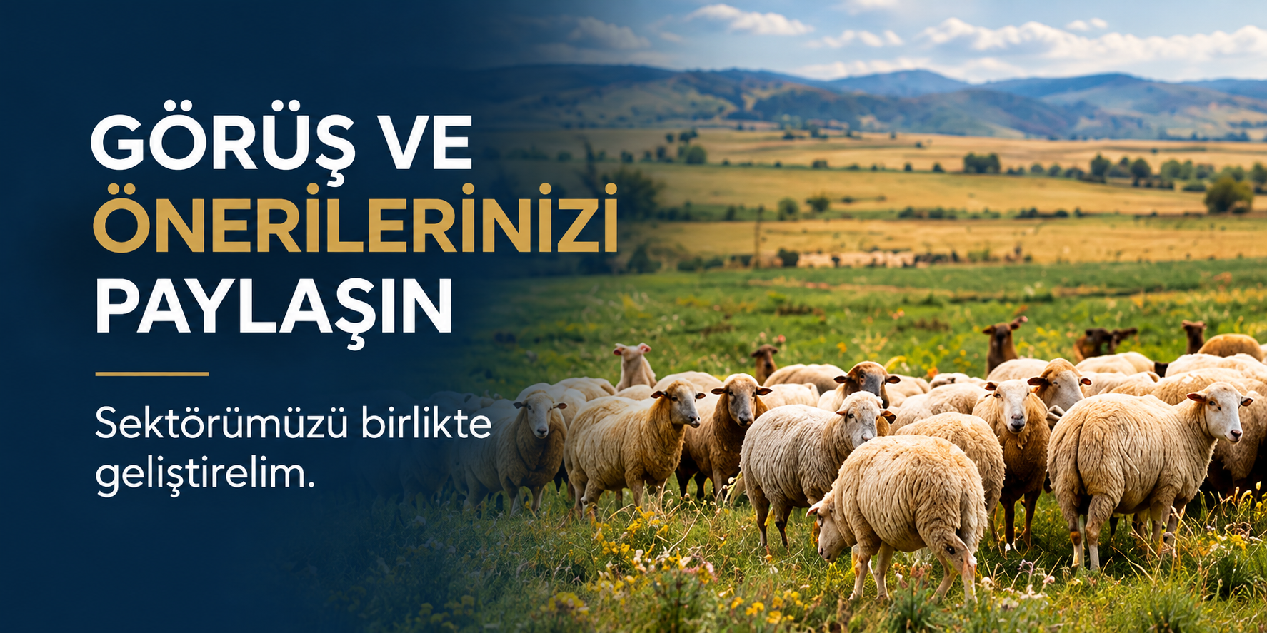 Görüş ve önerilerinizi paylaşın. Sektörümüzü birlikte geliştirelim.
